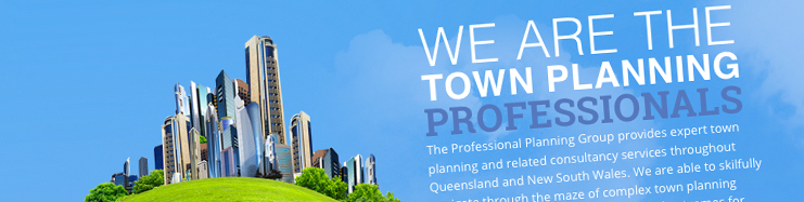Professional Planning Group website header | web design company Brisbane.