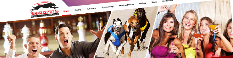 Brisbane Greyhound Racing Club web design Brisbane.
