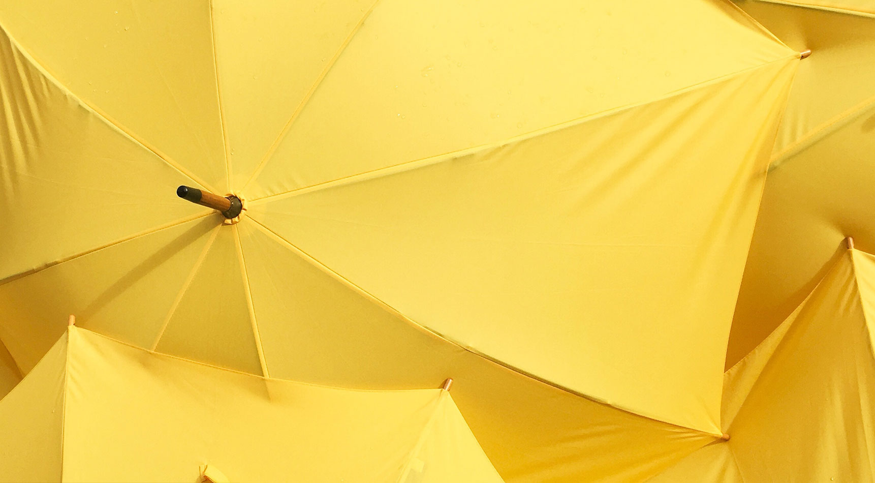 Yellow umbrellas | Graphic Design Brisbane